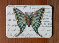 Magnet Butterflies 05
