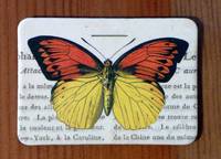 Magnet Butterflies 17
