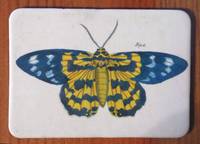 Magnet Butterflies 02 Magnet Butterflies 02