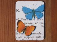 Magnet Butterflies 06 Magnet Butterflies 06