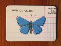 Magnet Butterflies 09 Magnet Butterflies 09