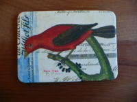 Magnet Birds & Nests 12 Magnet Birds & Nests 12