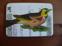 Magnet Birds & Nests 19 Magnet Birds & Nests 19
