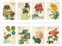 Stamp Sticker Flower Stamp Sticker Flower