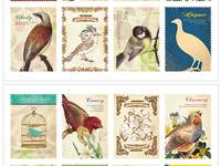 Stamp Sticker Bird Stamp Sticker Bird