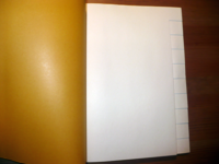 Staircase Notebook A5 mustard (blanko) Staircase Notebook A5 mustard (blanko)