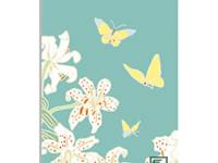 Emily Burningham memo lily Emily Burningham memo lily