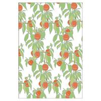 Emily Burningham memo valley lily Emily Burningham memo valley lily