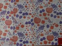 wax paper pocket edition bookcover. apple and pear wax paper pocket edition bookcover. apple and pear