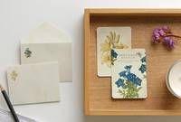 Message Pack 02 Botanical Message Pack 02 Botanical