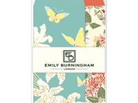 Emily Burningham envelope S lily