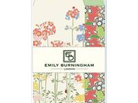 Emily Burningham envelope S primula Emily Burningham envelope S primula