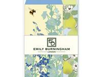 Emily Burningham envelope S delphinium