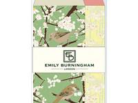 Emily Burningham envelope S sparrow