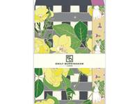 Emily Burningham envelope M rose Emily Burningham envelope M rose