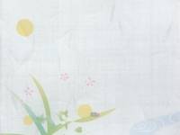 mini Umschlag Fluss mini Umschlag Fluss