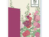 Emily Burningham letter pack holly hock Emily Burningham letter pack holly hock