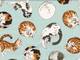 Resting Cats mint Resting Cats mint