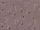 Klee beige-braun Klee beige-braun