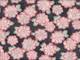 Sakura groß schwarz Sakura groß schwarz