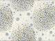 Bubbles gray double gauze Bubbles gray double gauze