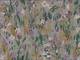 Meadow gray Meadow gray