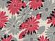 Daisy red Daisy red