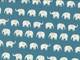 Elefanten groß weiß auf blau