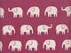 Elefanten pink