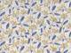 Fruitflower ivory blue (Lawn)