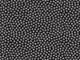 Daisy black Daisy black