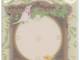index seal Bird index seal Bird