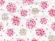 Hanabi flower pink Hanabi flower pink