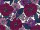 Jambo Flower purple Jambo Flower purple