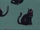 Katzen groß türkis Katzen groß türkis