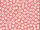 Daisy lachs Daisy lachs