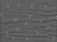 Kirschen klein grau double gauze Kirschen klein grau double gauze