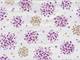 Hanabi flower purple Hanabi flower purple