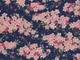 Sakura klein blau Sakura klein blau
