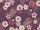 Sakura lila Sakura lila