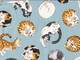 Wachstuch Resting Cats light blue Wachstuch Resting Cats light blue