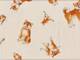 Shiba Inu creme Shiba Inu creme