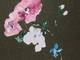 nani IRO New morningⅠaina nani IRO New morningⅠaina