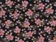 Sakura schwarz gold Sakura schwarz gold