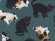 Katzen türkis Katzen türkis