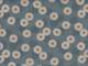 Daisy blue Daisy blue