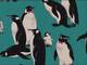 Pinguin groß türkis