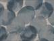 Bubbles light blue Bubbles light blue