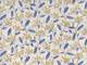 Fruitflower ivory blue (Lawn) Fruitflower ivory blue (Lawn)