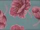 Wachstuch Mattina Flower 145 seafoam Wachstuch Mattina Flower 145 seafoam